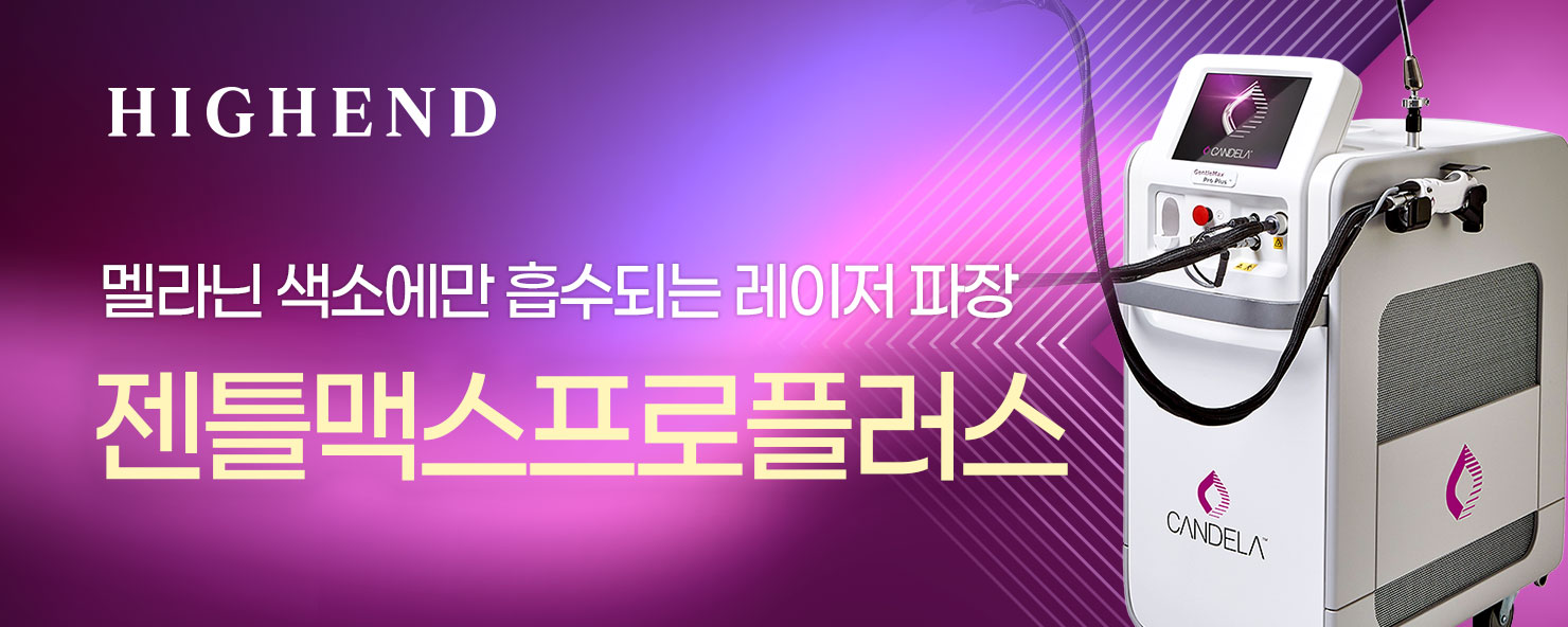 하이엔드 레이저제모